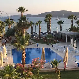 Nagi Turkey